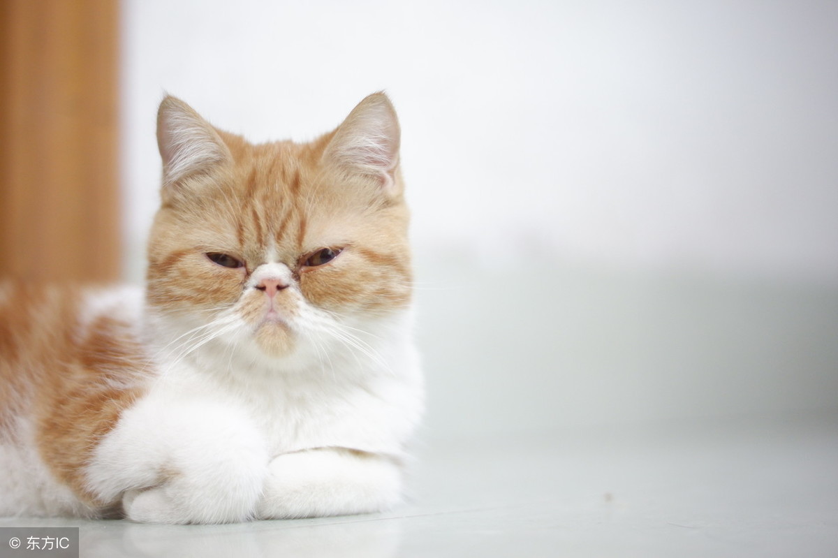 雙十一已過，阿里的服務(wù)器你還好嗎？ 